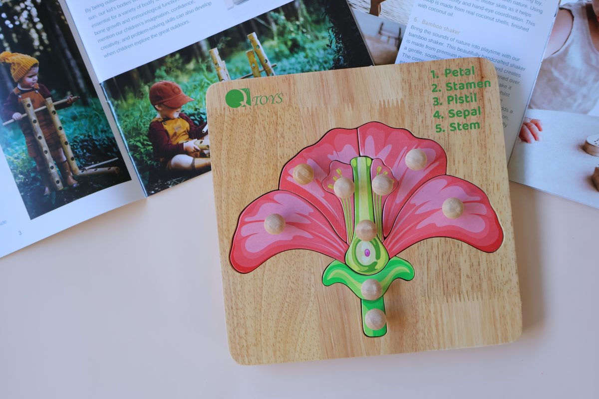 Montessori Parts of a Flower Puzzle — Bloom & Learn