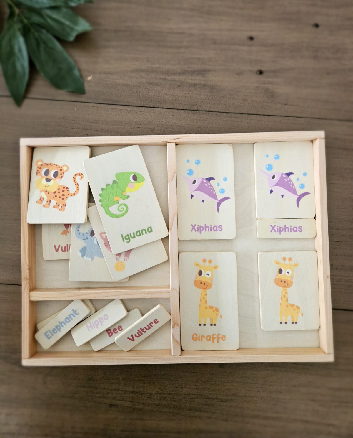 Montessori Language Card Tray — Organised Learning