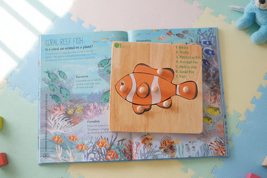 Montessori Fish Knob Puzzle — Ocean Friends